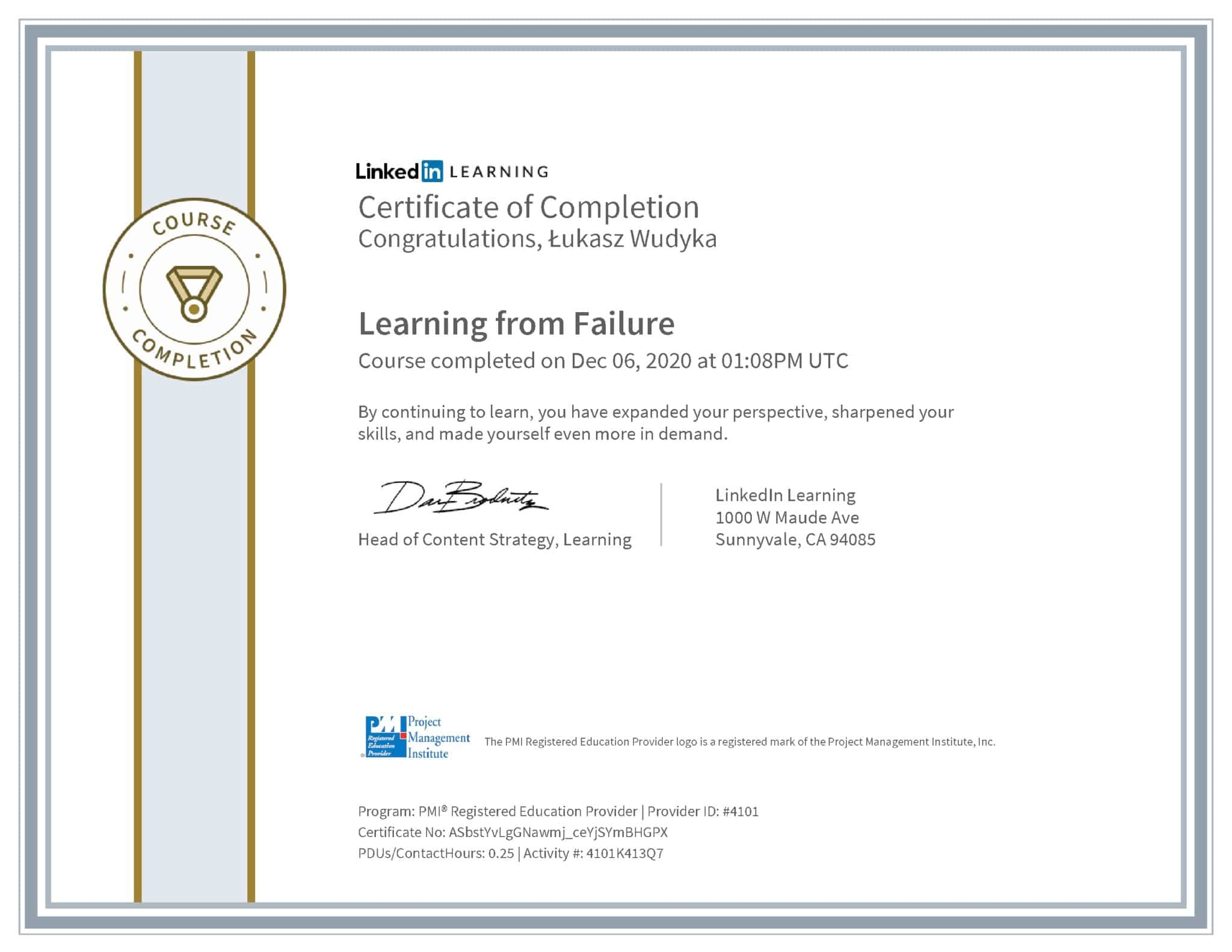 Łukasz Wudyka certyfikat LinkedIn Learning from Failure PMI