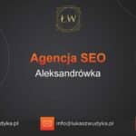 Agencja SEO w Aleksandrówce – Agencja SEO Aleksandrówka