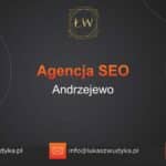 Agencja SEO w Andrzejewie – Agencja SEO Andrzejewo