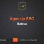 Agencja SEO w Babicy – Agencja SEO Babica