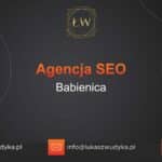 Agencja SEO w Babienicy – Agencja SEO Babienica