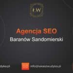 Agencja SEO w Baranowie Sandomierskim – Agencja SEO Baranów Sandomierski