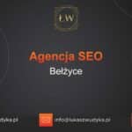 Agencja SEO w Bełżycach – Agencja SEO Bełżyce