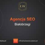 Agencja SEO w Białobrzegach – Agencja SEO Białobrzegi