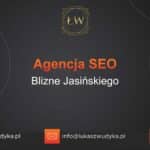 Agencja SEO w Bliznem Jasińskiego – Agencja SEO Blizne Jasińskiego