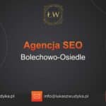 Agencja SEO w Bolechowie-Osiedlu – Agencja SEO Bolechowo-Osiedle