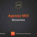 Agencja SEO w Borzechowie – Agencja SEO Borzechów