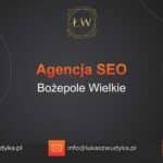 Agencja SEO w Bożepolu Wielkim – Agencja SEO Bożepole Wielkie