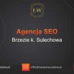 Agencja SEO w Brzeziu koło Sulechowa – Agencja SEO Brzezie k. Sulechowa