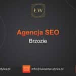 Agencja SEO w Brzoziu – Agencja SEO Brzozie