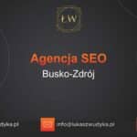 Agencja SEO w Busku-Zdroju – Agencja SEO Busko-Zdrój