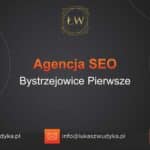 Agencja SEO w Bystrzejowicach Pierwszych – Agencja SEO Bystrzejowice Pierwsze