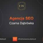 Agencja SEO w Czarnej Dąbrówce – Agencja SEO Czarna Dąbrówka