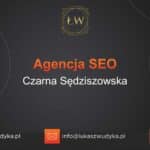 Agencja SEO w Czarnej Sędziszowskiej – Agencja SEO Czarna Sędziszowska