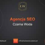 Agencja SEO w Czarnej Wodzie – Agencja SEO Czarna Woda