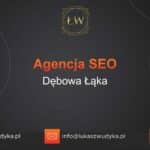 Agencja SEO w Dębowej Łące – Agencja SEO Dębowa Łąka