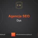 Agencja SEO w Dysie – Agencja SEO Dys