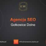 Agencja SEO w Gołkowicach Dolnych – Agencja SEO Gołkowice Dolne