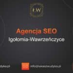 Agencja SEO w Igołomi-Wawrzeńczycach – Agencja SEO Igołomia-Wawrzeńczyce