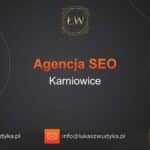 Agencja SEO w Karniowicach – Agencja SEO Karniowice