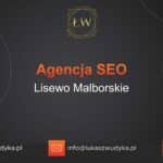 Agencja SEO w Lisewie Malborskim – Agencja SEO Lisewo Malborskie