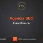 Agencja SEO w Pantalowicach – Agencja SEO Pantalowice