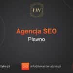 Agencja SEO w Pławnie – Agencja SEO Pławno