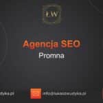 Agencja SEO w Promnej – Agencja SEO Promna