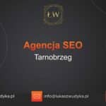 Agencja SEO w Tarnobrzegu – Agencja SEO Tarnobrzeg