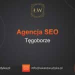 Agencja SEO w Tęgoborzu – Agencja SEO Tęgoborze