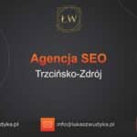 Agencja SEO w Trzcińsku-Zdroju – Agencja SEO Trzcińsko-Zdrój