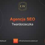 Agencja SEO w Twardorzeczce – Agencja SEO Twardorzeczka