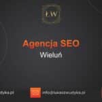 Agencja SEO w Wieluniu – Agencja SEO Wieluń