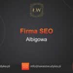 Firma SEO Albigowa – Firma SEO w Albigowej