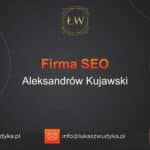 Firma SEO Aleksandrów Kujawski – Firma SEO w Aleksandrowie Kujawskim