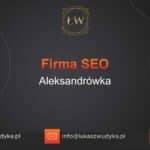 Firma SEO Aleksandrówka – Firma SEO w Aleksandrówce