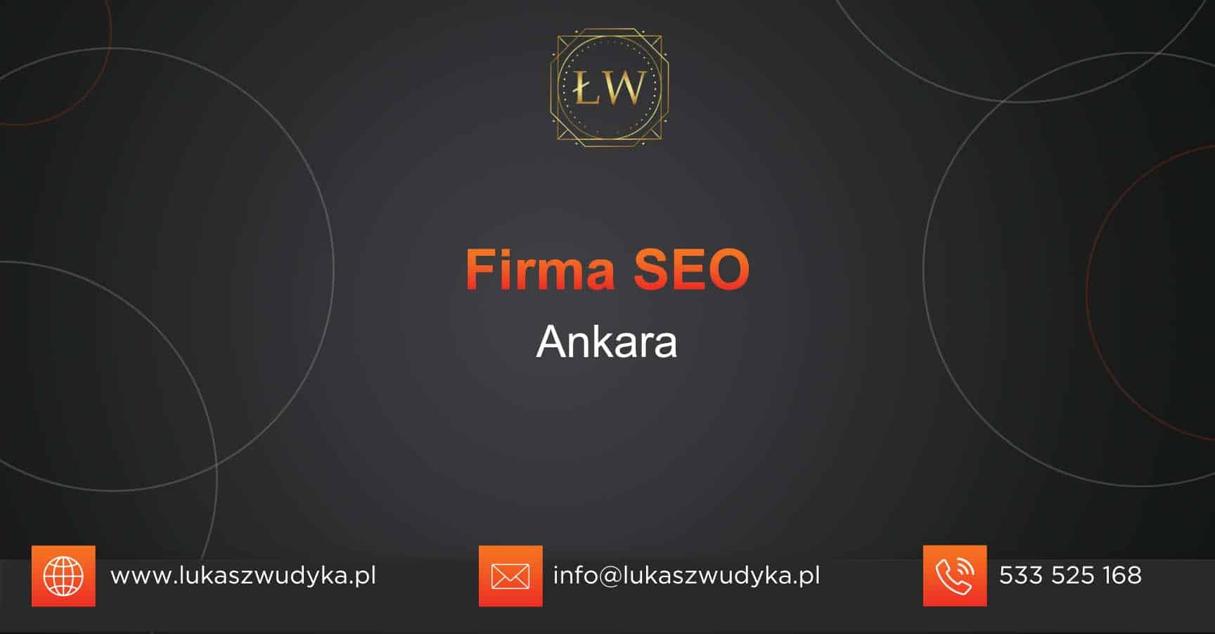 Firma SEO Ankara