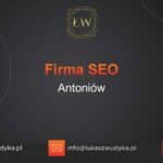 Firma SEO Antoniów – Firma SEO w Antoniewie