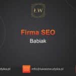 Firma SEO Babiak – Firma SEO w Babiaku