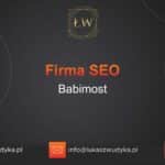 Firma SEO Babimost – Firma SEO w Babimoście