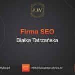 Firma SEO Białka Tatrzańska – Firma SEO w Białce Tatrzańskiej