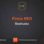 Firma SEO Biedrusko – Firma SEO w Biedrusku