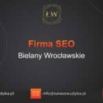 Firma SEO Bielany Wrocławskie – Firma SEO w Bielanach Wrocławskich