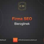 Firma SEO Bierzglinek – Firma SEO w Bierzglinku