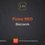 Firma SEO Bierzwnik – Firma SEO w Bierzwniku