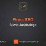 Firma SEO Blizne Jasińskiego – Firma SEO w Bliznem Jasińskiego