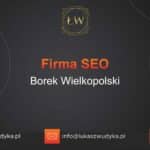 Firma SEO Borek Wielkopolski – Firma SEO w Borku Wielkopolskim