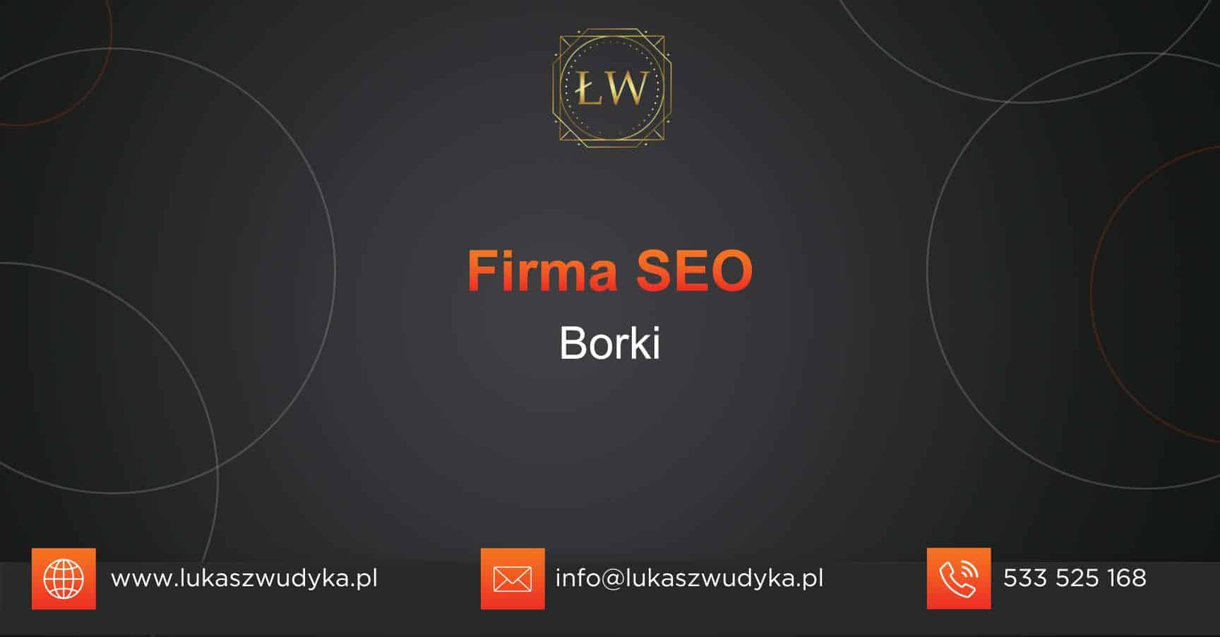 Firma SEO Borki