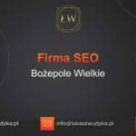 Firma SEO Bożepole Wielkie – Firma SEO w Bożepolu Wielkim