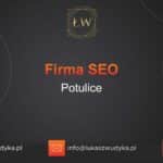 Firma SEO Potulice – Firma SEO w Potulicach